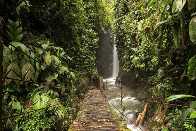 Mystical Mindo Marvels: a Daylong Dive Into Natures Dreamland! - Accessibility Considerations