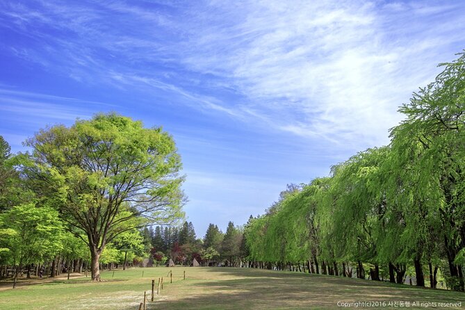 Nami Island & Mount Seorak Day Trip From Seoul - Inclusions and Activity Details