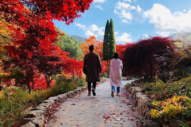 Nami Island+Alpaca+Gapyeong Rail Bike+Garden of Morning Calm - Experience Highlights