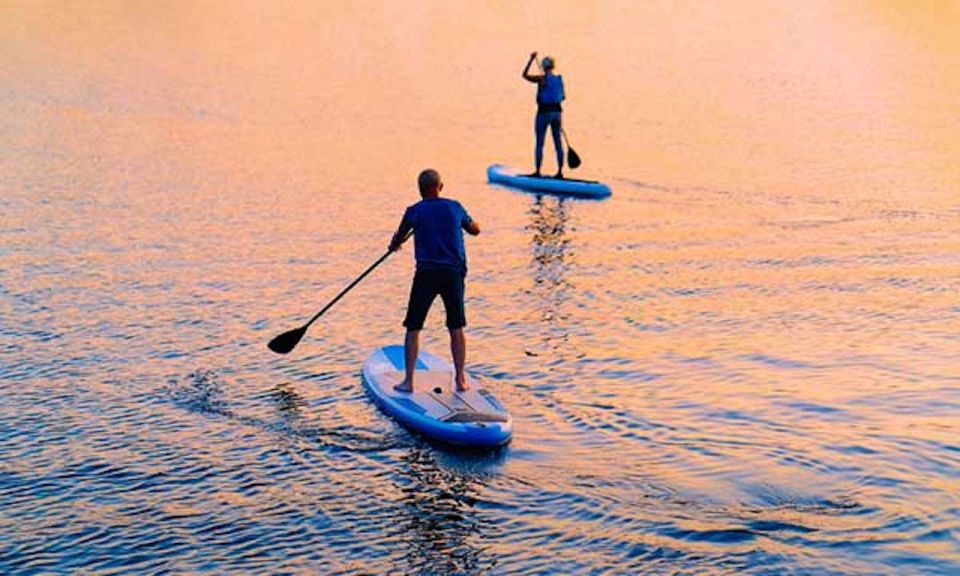 Napa Valley: Napa River Stand Up Paddle Board Rental - Suitability and Restrictions