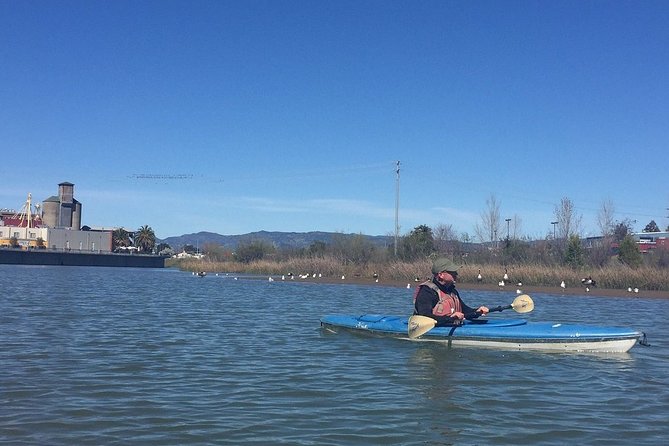 Napa Valley River History Kayak Tour: Single Kayaks - Tour Reviews