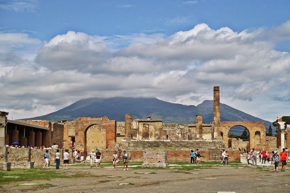 Naples: Pompeii, Vesuvius and Wine Tasting Tour - Guided Vineyard Tour and Wine Tasting