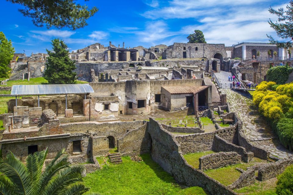 Naples: Vesuvius, Pompeii, and Vineyards Tour - Pompeii Ruins Tour