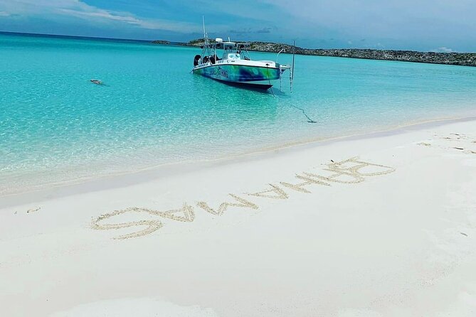 Nassau to Exuma Full-Day Trip Experience - Pig Beach Experience