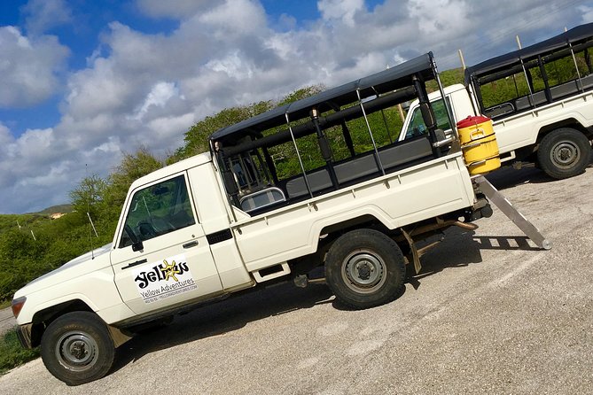 National Park Jeep Safari - Wildlife and Scenic Highlights