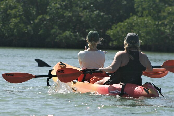 Nauti Exposures - Guided Kayak Tour Through the Mangroves - Accessibility Information