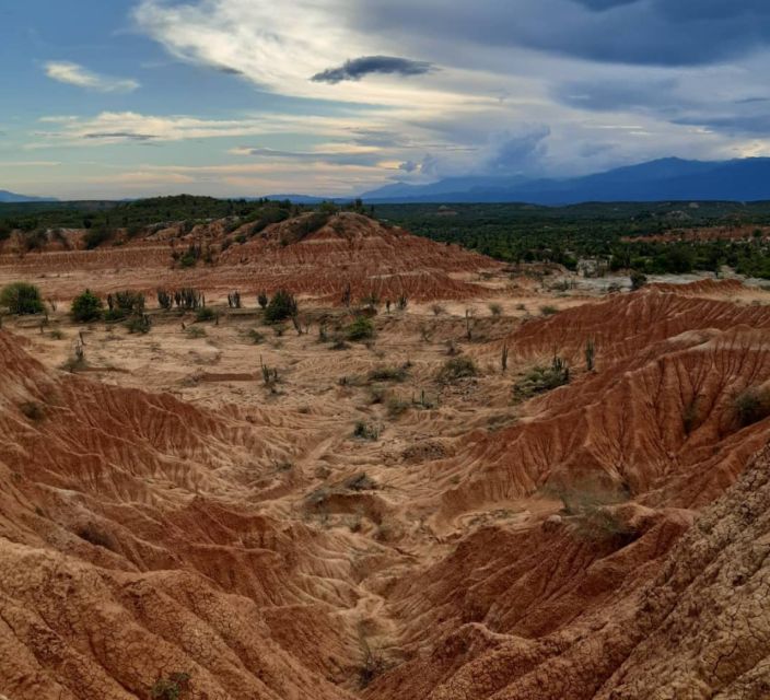 Neiva: Guided Day Trip to the Tatacoa Desert With Lunch - Cultural Insights