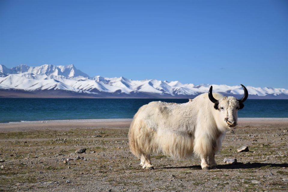 Nepal Tibet Tour 8 Days - Exclusions and Additional Costs