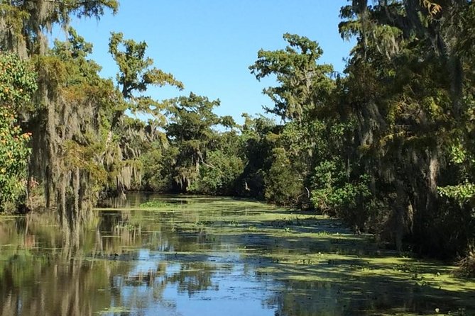 New Orleans City/Cemetery and Swamp Full-Day Tour - Health and Safety Guidelines