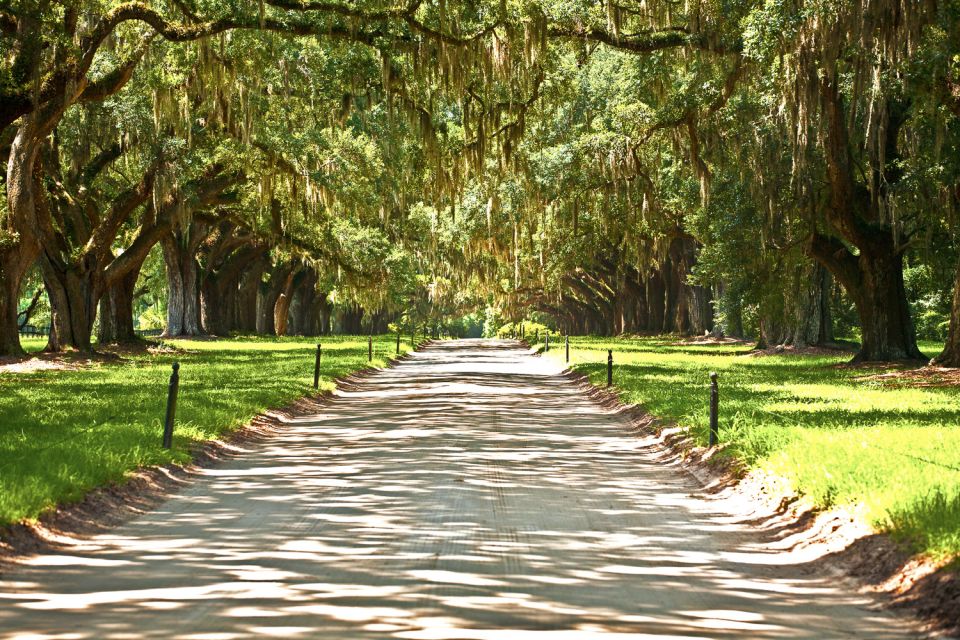 New Orleans: Single Plantation and Pontoon Swamp Day Trip - Swamp Tour