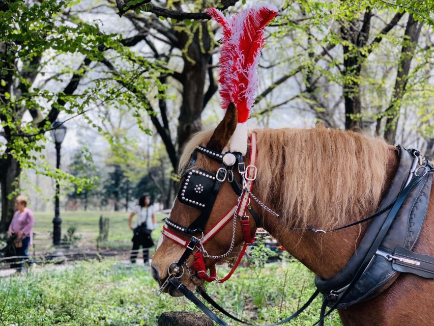 New York City: Central Park Private Horse and Carriage Tour - Snapshot-worthy Photo Opportunities