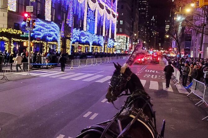 New York City Christmas Lights Private Horse Carriage Ride - Accessibility Features