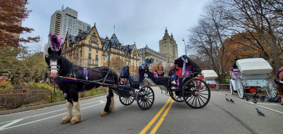 New York City: Private Horse Carriage Tour - Meeting Point and Directions