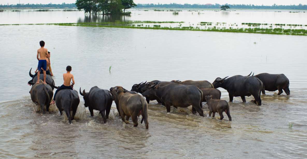 Nha Rong Port: Private Mekong Delta Tour - Inclusions and Exclusions