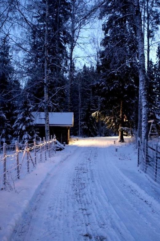 Nice: Christmas Market Walking Tour - Tips for Your Visit
