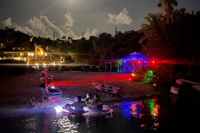 Night Kayak Tour St. John - Westin Resort - Exploration of Marine Life