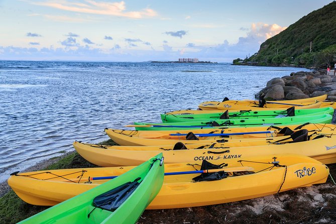 Night Kayaking Experience on Bioluminescent Lagoon in Fajardo - Customer Feedback and Ratings