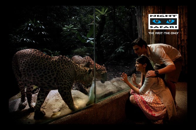 Night Safari Tour With Transfer - Meeting Point and Hotel Pickup