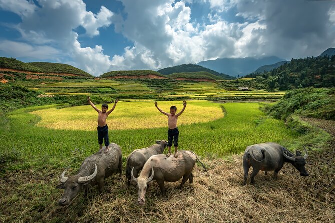 Ninh Binh Group Tour of 11 From Hanoi via Mua Cave, Tam Coc, Hoa Lu - Biking Through Limestone Peaks