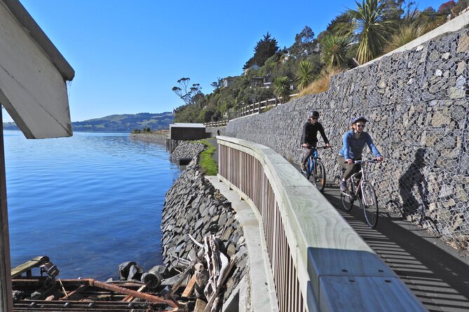 Non-Electric Bike Rental - Accessibility Features and Limitations