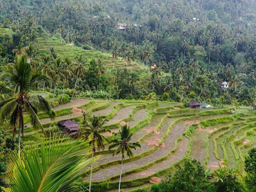 North Bali : Discover Sekumpul Waterfall & Ulun Danu Temple - Getting to North Bali