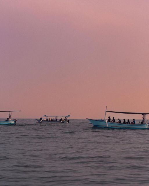 North Bali ; Lovina Sunrise Watching Dolphin - Responsible Animal Interaction