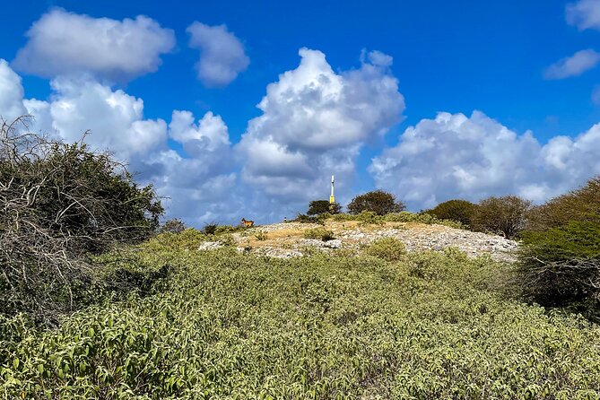 North Bonaire Private Island Tour - Accessibility Features