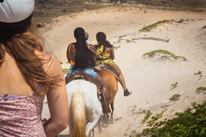 North Coast and Countryside Horseback Riding Tour in Aruba - Customer Reviews and Feedback