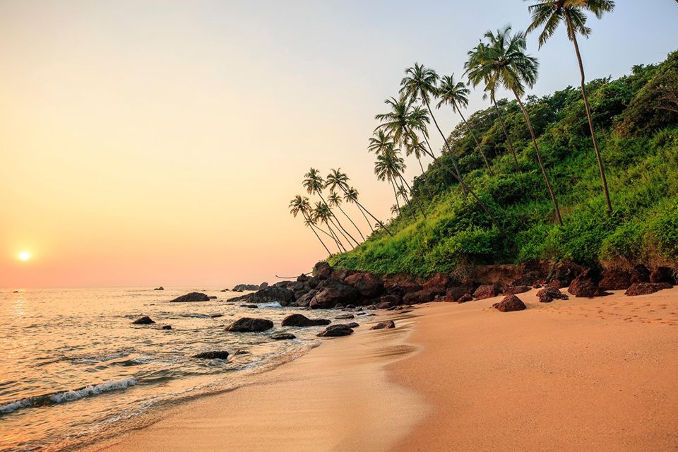 North Goa: Private Day Tour - Transportation and Accessibility