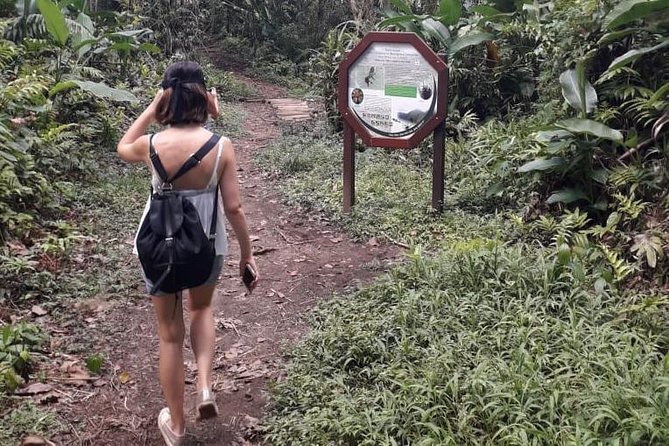 North Island Tour And Martinique Best Secret - Must-See Local Monuments