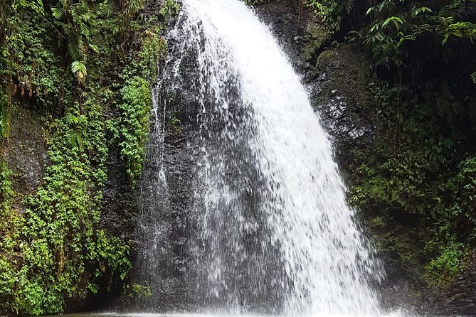 North Tour: Rainforest, Rum Distillery, Black Sand Beach Etc - Accessibility Features