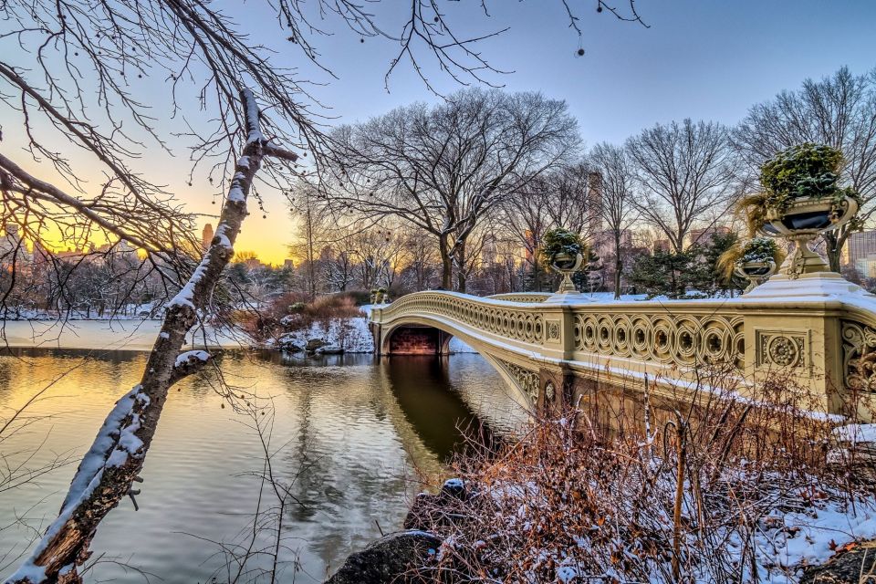 NYC: Best Of Central Park Self-Guided Scavenger Hunt & Tour - App and Accessibility Details