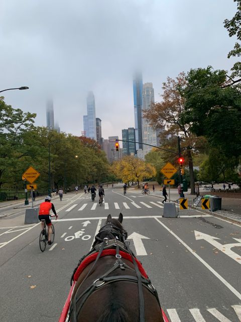 NYC Empire State Horse Carriage Rides (Central Park Tour) - Meeting Point