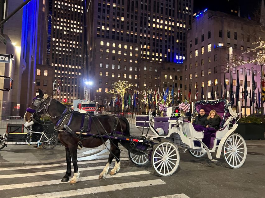 NYC: Guided Central Park Horse Carriage Ride - Carriage Ride Duration and Comfort