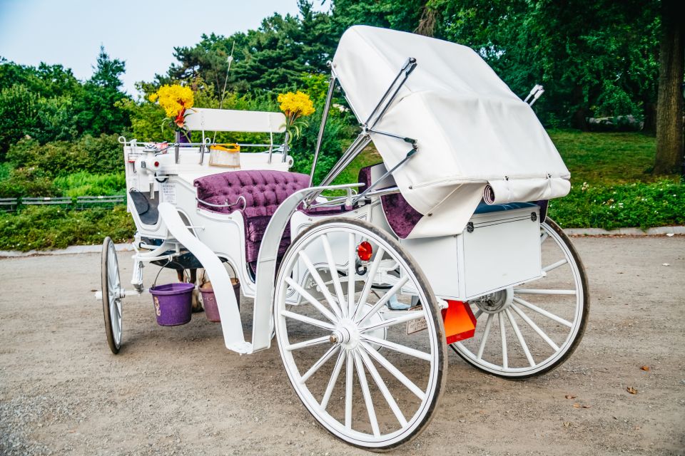 NYC: Guided Central Park Horse Carriage Ride - Carriage Ride Duration