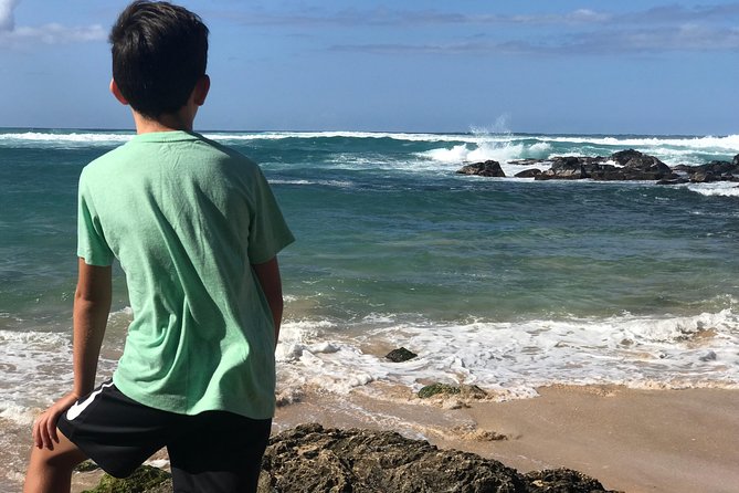Oahu Unveiled: Tailored Luxury Private Island Tour - Inclusions and Logistics Details