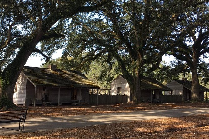 Oak Alley or Laura Plantation Tour From New Orleans - Recommendations for Tour Participants