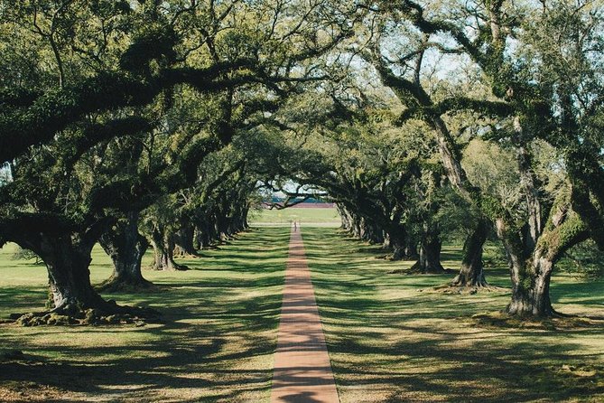 Oak Alley Plantation and Small Airboat Tour From New Orleans - Exploring Oak Alley Plantation