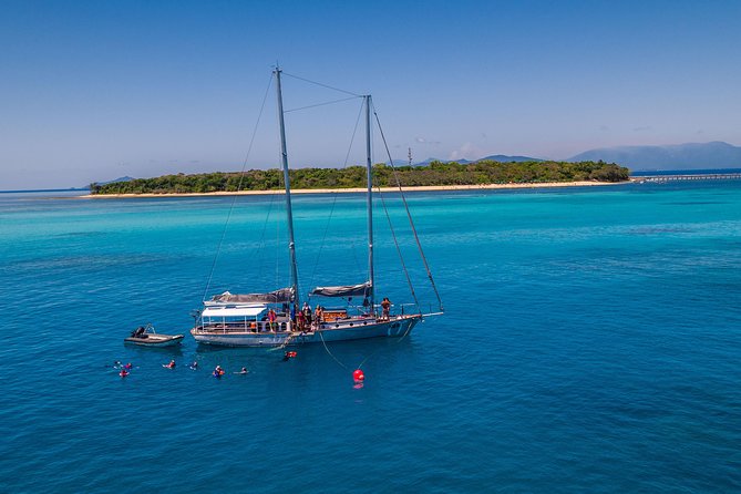 Ocean Free Green Island and Great Barrier Reef Snorkel Cruise - Snorkeling Experience
