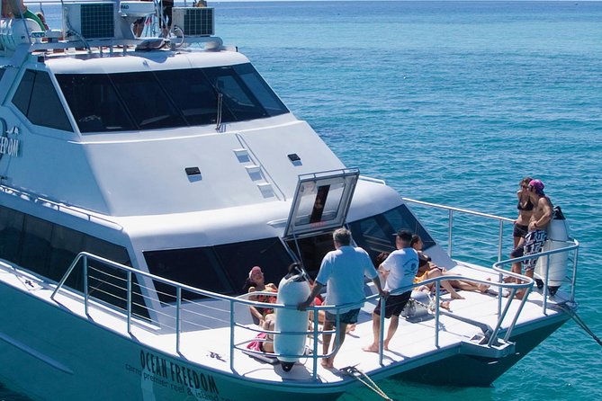 Ocean Freedom Great Barrier Reef Luxury Snorkel and Dive Cruise - Health and Safety Measures