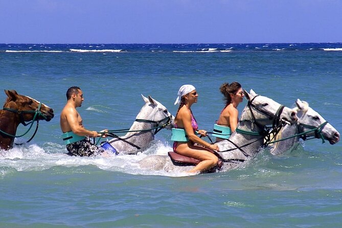Ocho Rios Shore Excursion: Blue Hole, Tubing, Horseback Riding - Experience With Guides