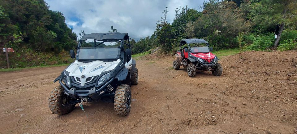 Off-Road Buggy Madeira - Safety and Restrictions