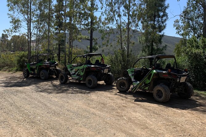 Off-Road Sierra De Mijas Buggy Tour 2h - Customer Experiences