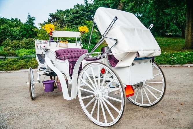 Official Private New York City Central Park Horse Carriage Ride Since 1965™ - Pricing Options