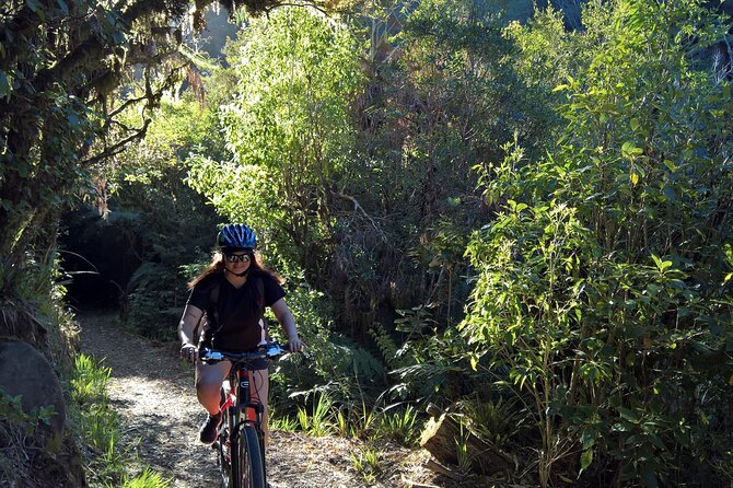 Old Coach Road Self-Guided Bike Tour From Ohakune - Important Considerations