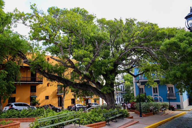 Old San Juan - Loiza African Town Full-Day Tour: 8+ People Group - Pricing Information