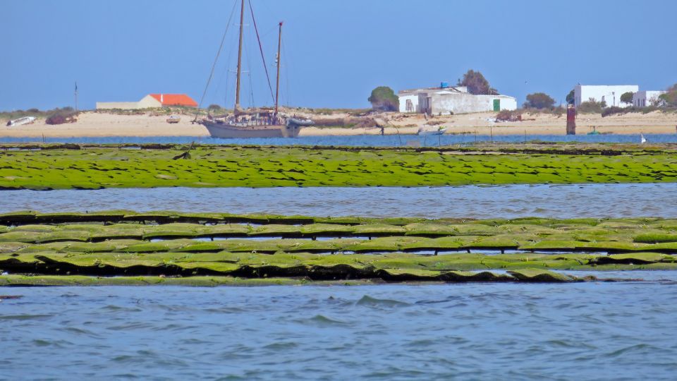 Olhão: 3-Hour Ria Formosa Boat Tour - Important Information