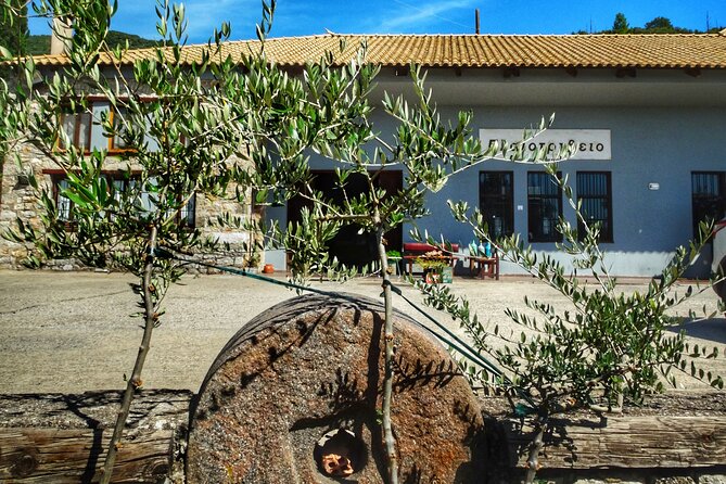 Olive Tour & Tasting - Sample Menu Overview