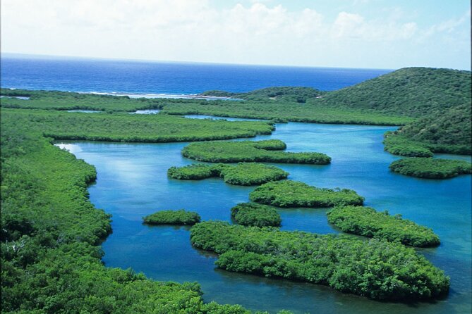 On Your Own: Kayak in the Mangrove Lagoon - Wildlife and Snorkeling Opportunities