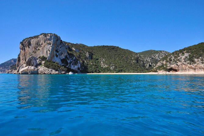 One Day Tour in Rubber Dinghy in the Gulf of Orosei With Skipper - Inclusions and Amenities